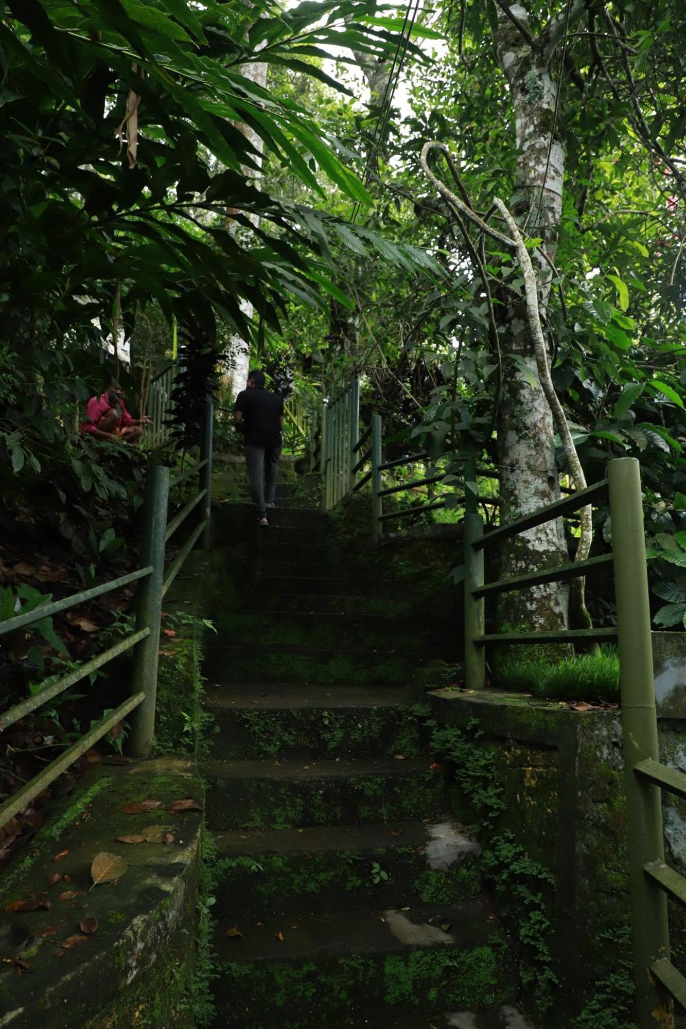 Nature Villa Anachal Bagian luar foto