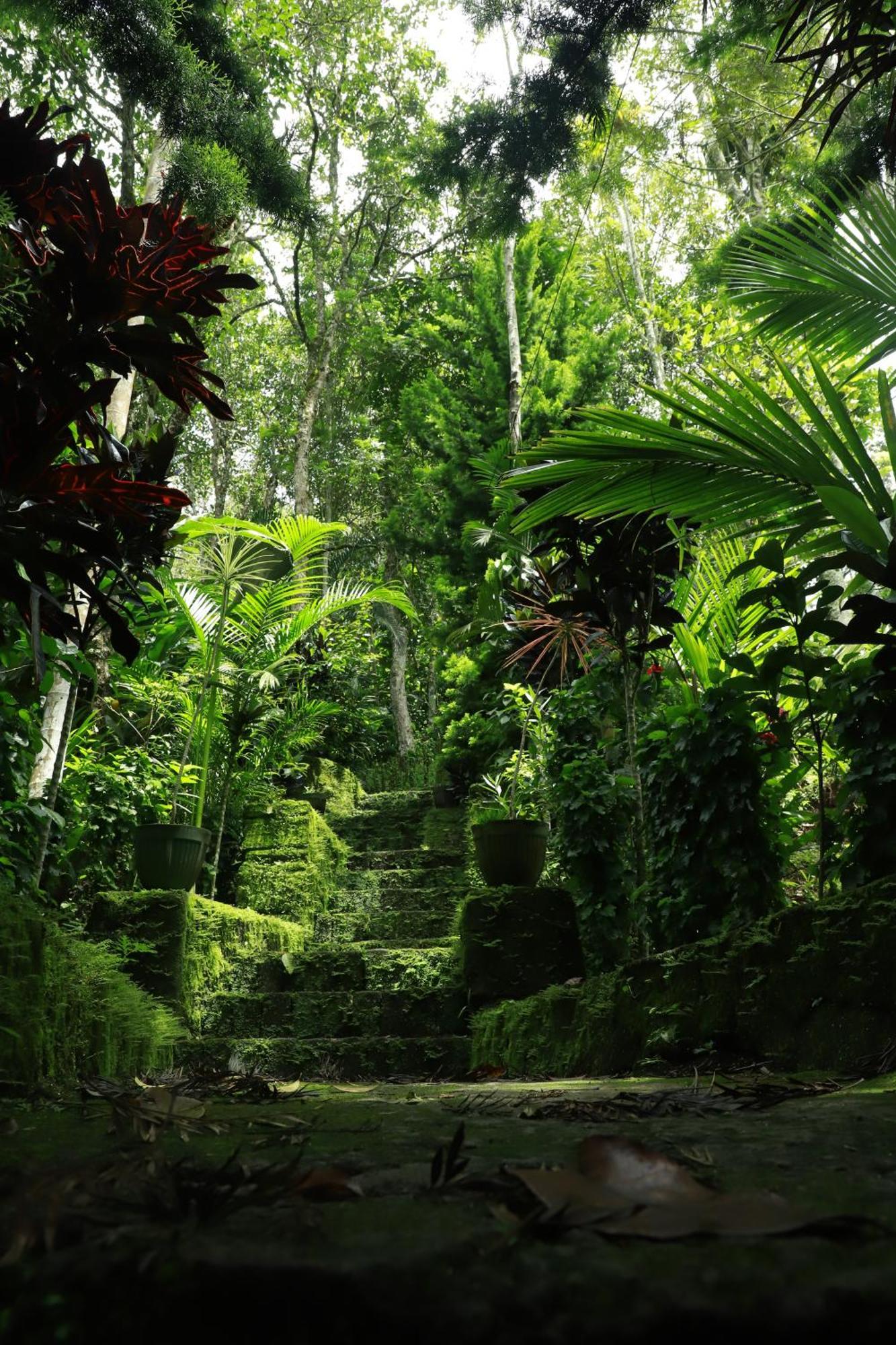 Nature Villa Anachal Bagian luar foto