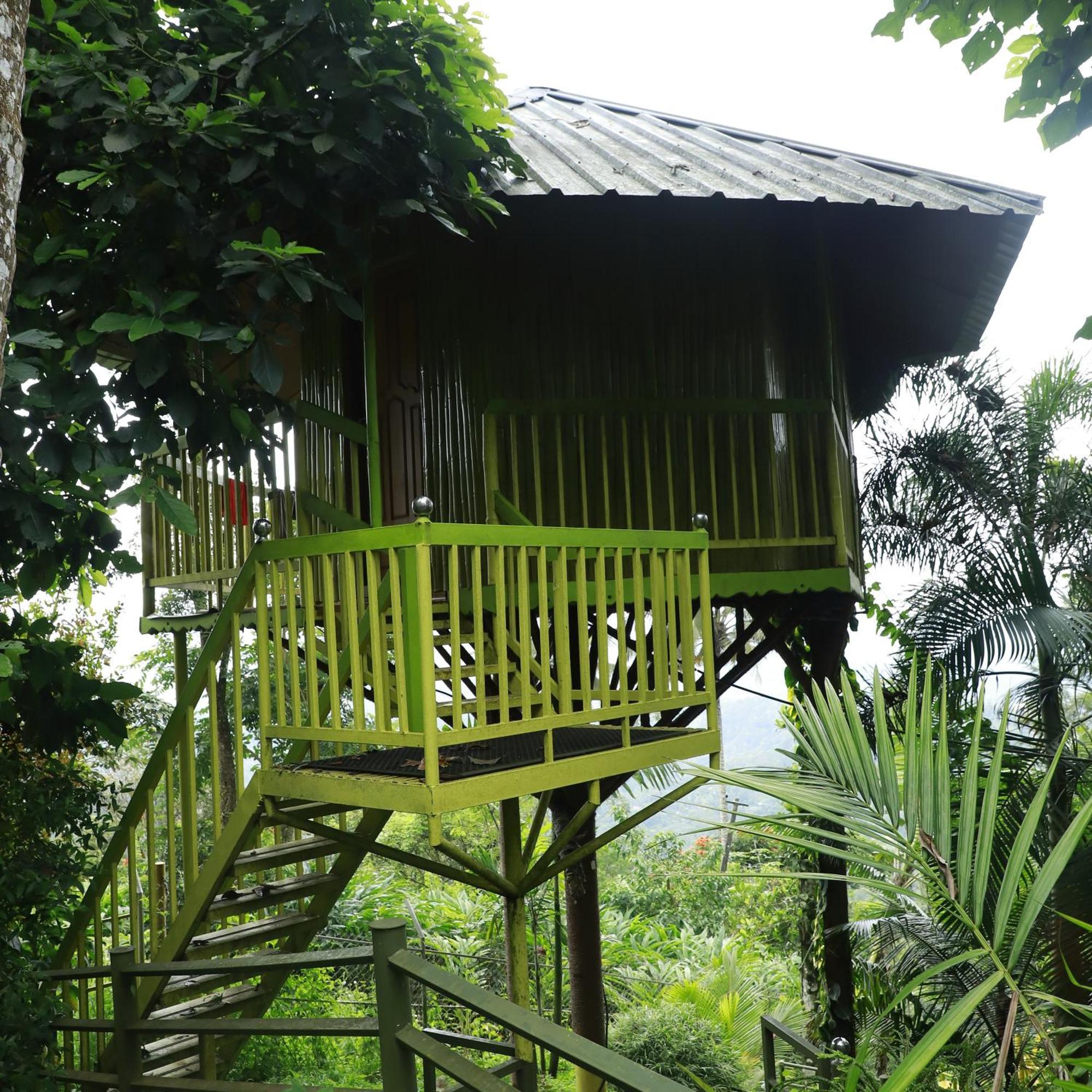 Nature Villa Anachal Bagian luar foto
